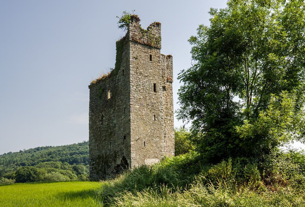 Dysart Castle, County Kilkenny